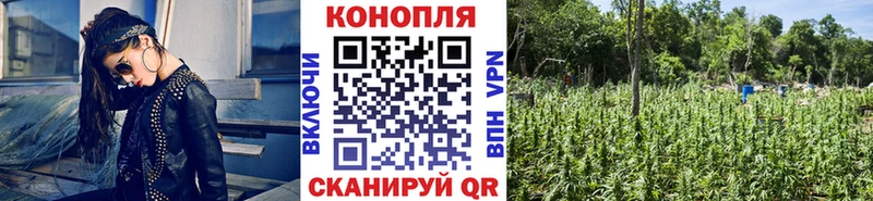 Купить закладку Гашиш  Кокаин  А ПВП  МЕФ  Еманжелинск
