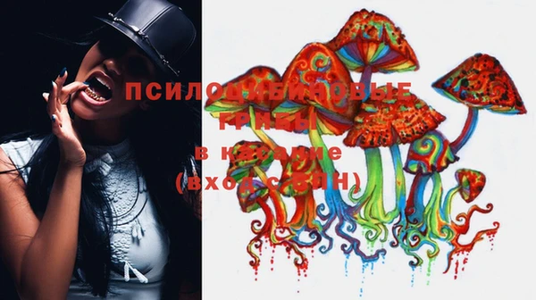стафф Белоозёрский